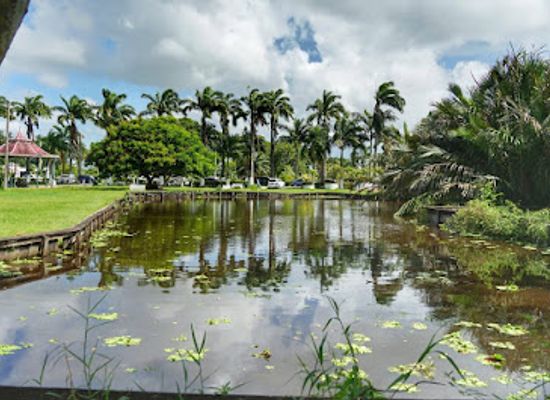 guyana/bartica/attraction/botanical-gardens-guyana