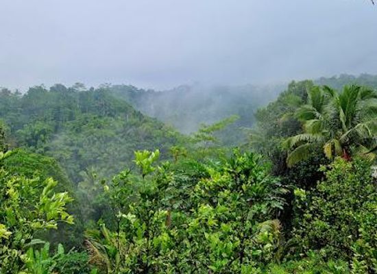 indonesia/bali/attraction/oka-agriculture-bali