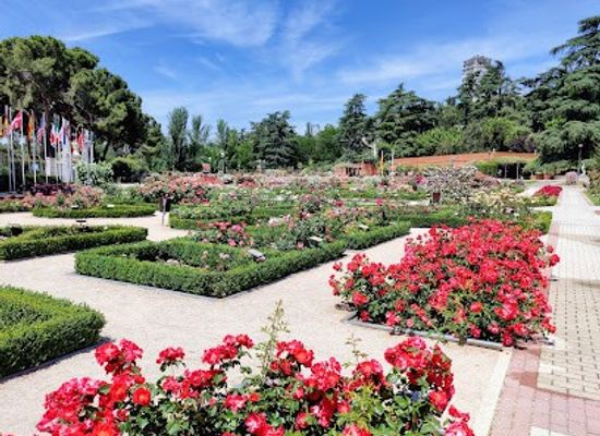 spain/madrid/attraction/rosaleda-del-parque-del-oeste