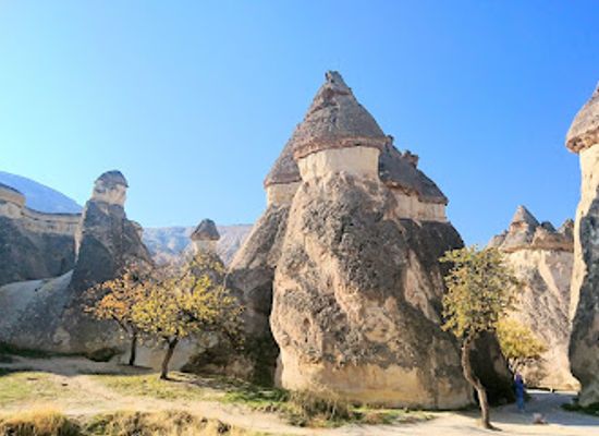 turkiye/cappadocia/avanos/attraction/pasabag-vadisi