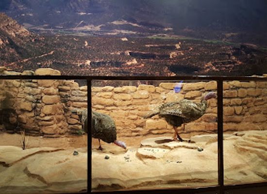 colorado/denver/attraction/history-colorado-center