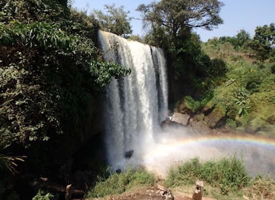 cameroon/mankon-bamenda/attraction/chutes-de-la-metche