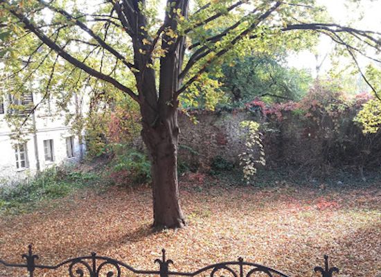 hungary/sopron-wine-region/attraction/kulso-varosfal-egy-resze