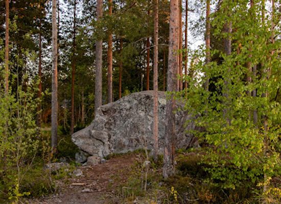 finland/ostrobothnia/attraction/rollin-papana