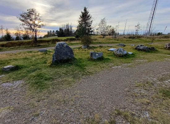 germany/harz-national-park/attraction/harzer-gesteine