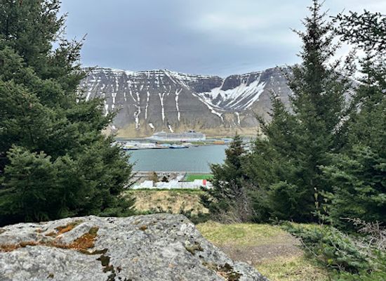 iceland/westfjords/attraction/storuroarlundur