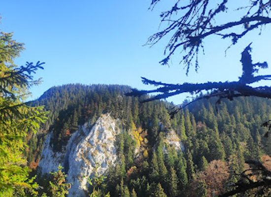 romania/brasov/attraction/ice-cave