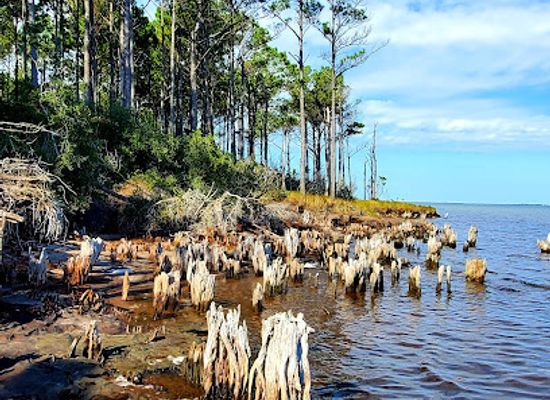 north-carolina/crystal-coast/attraction/cedar-island-national-wildlife-refuge