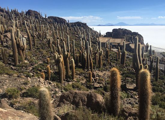 bolivia/santa-cruz-lowlands/attraction/uyuni-salt-lake