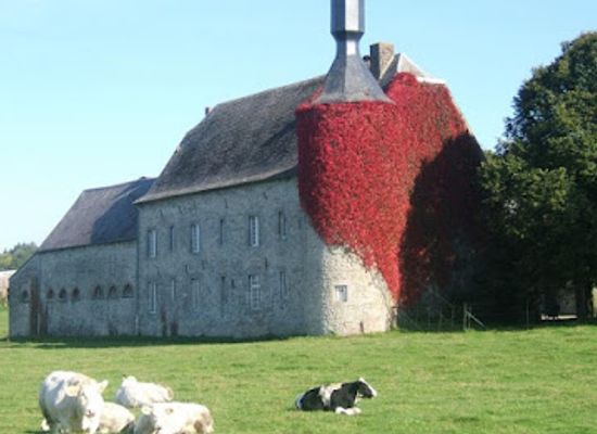 belgium/condroz/attraction/ferme-du-chateau-de-tahier