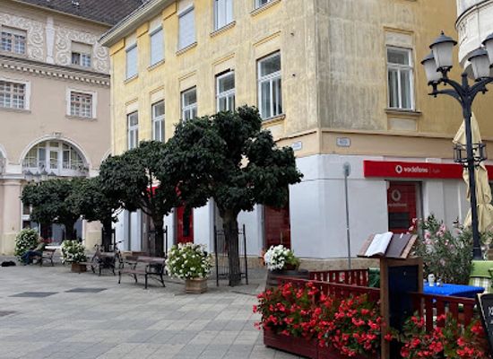 hungary/gyor/attraction/liszt-ferenc-csempekep