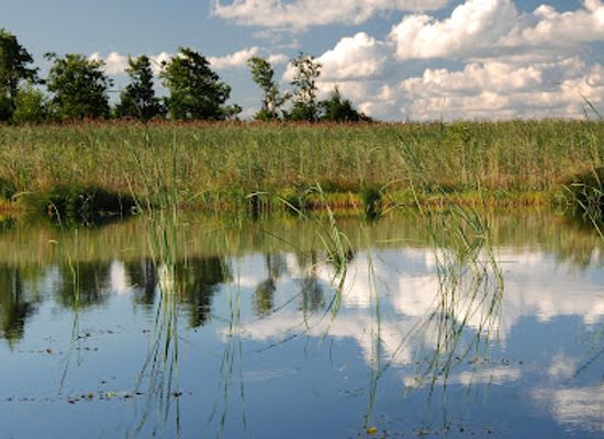 latvia/pape-nature-reserve/attraction/lake-pape
