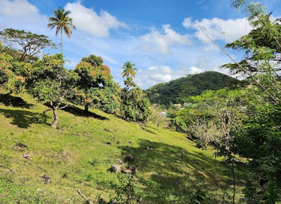 grenada/levera-beach/attraction/mt-parnassus-plantation