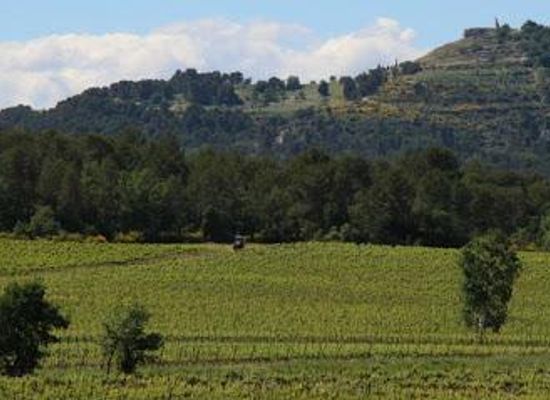 france/provence/attraction/chateau-paradis