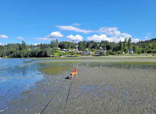 washington/federal-way/attraction/dumas-bay-sanctuary
