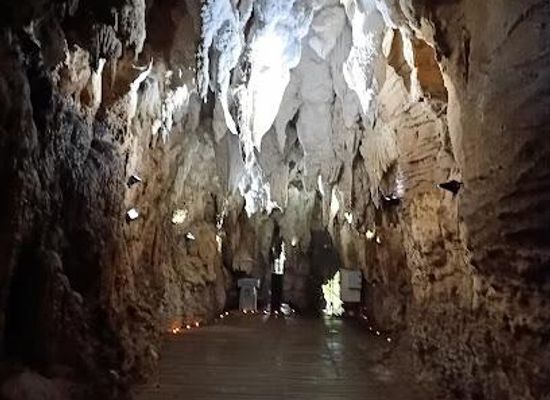 new-zealand/waitomo-caves/attraction/aranui-cave