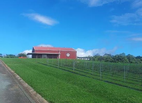 australia/gold-coast/attraction/cauldron-distillery