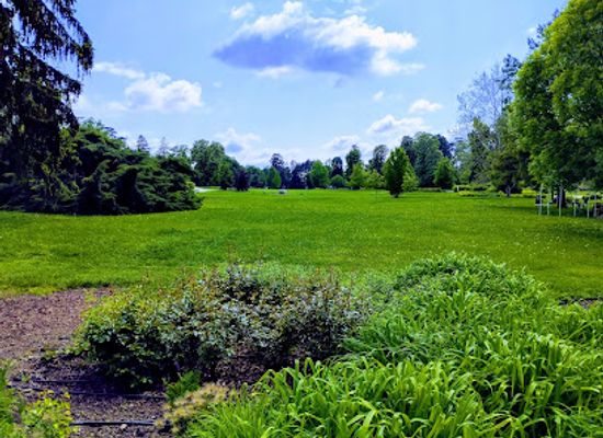hungary/northern-hungary/attraction/royal-palace-of-godollo