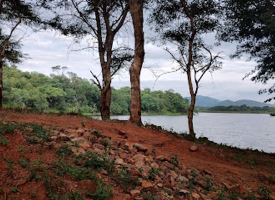 zambia/chipata/attraction/gondar-dam