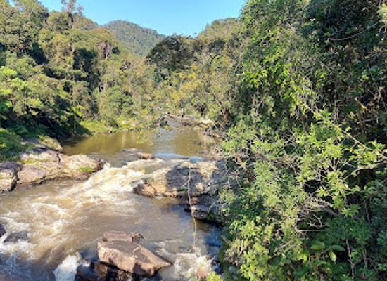 madagascar/vatovavy-fitovinany/attraction/ranomafana-soarano-trail