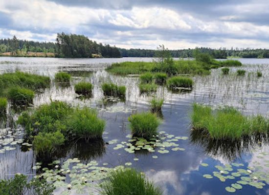 sweden/blekinge/attraction/glasrikets-algpark-ab