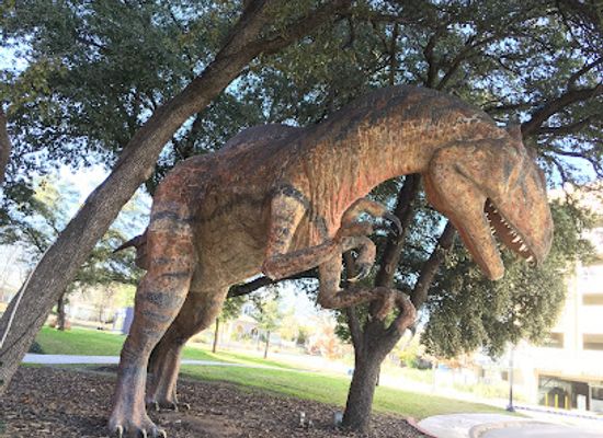 texas/fort-worth/attraction/fort-worth-museum-of-science-and-history-omni-theater