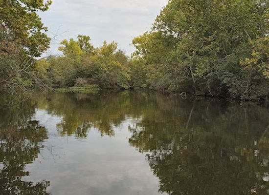 arkansas/russellville/attraction/skeleton-island
