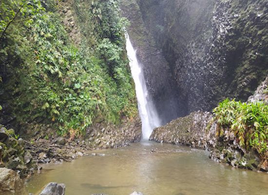 colombia/los-nevados-national-natural-park/attraction/cascade-don-lolo