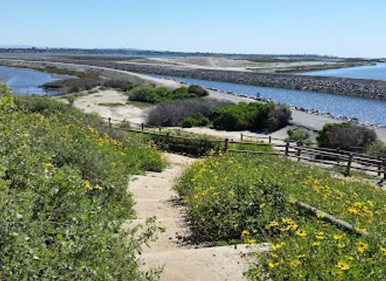 california/huntington-beach/attraction/bolsa-chica-state-beach