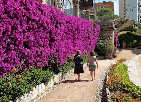 monaco/jardin-exotique/attraction/mini-golf