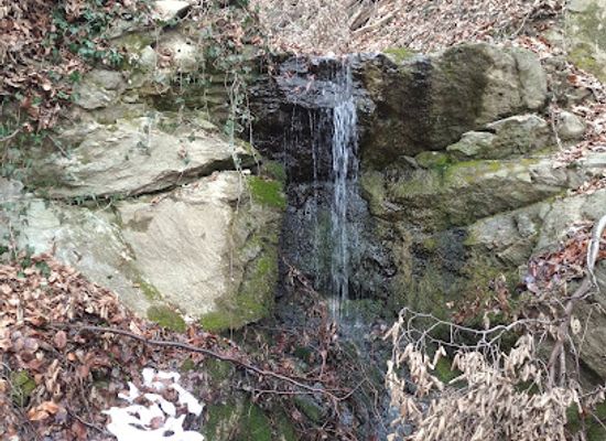 serbia/fruska-gora-national-park/attraction/crni-vodopad-grabovacki