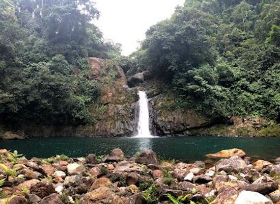 panama/atlantic-coast/attraction/tife-waterfall-river-jump-national-park-omar-torrijis
