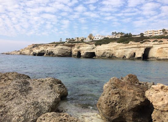 cyprus/paphos-district/attraction/pafos-zoo
