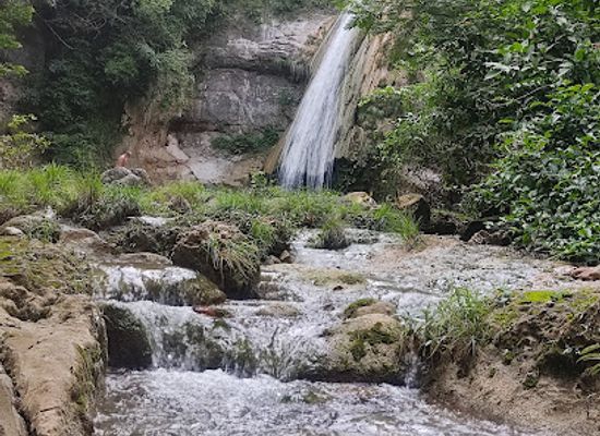 bolivia/santa-cruz-lowlands/attraction/espejillos