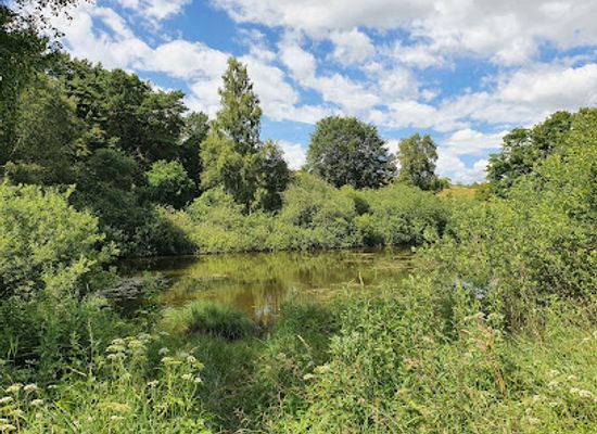 denmark/mols-bjerge-national-park/attraction/tremosegaard