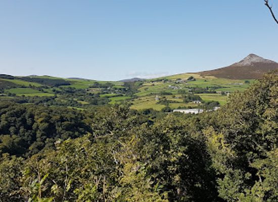 ireland/county-wicklow/attraction/glen-of-the-downs-nature-trail