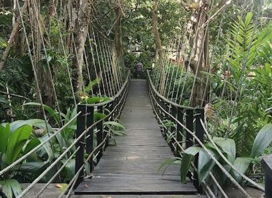 fiji/sigatoka/attraction/kula-wild-adventure-park