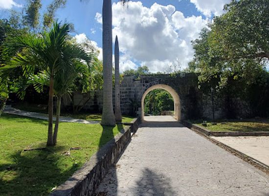 the-bahamas/new-providence/attraction/botanical-gardens