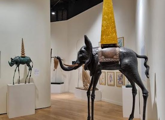 france/paris/attraction/dali-museum