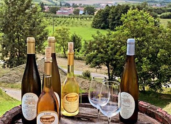 hungary/zemplen-mountains/attraction/gotz-pinceszet-gombos-hegyi-pincesor