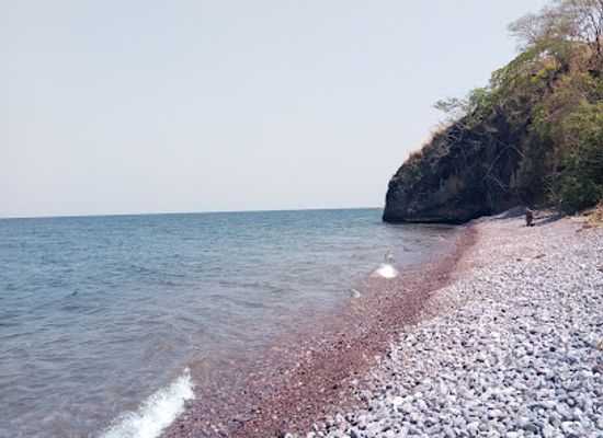 tanzania/kigoma/attraction/kitwa-forest