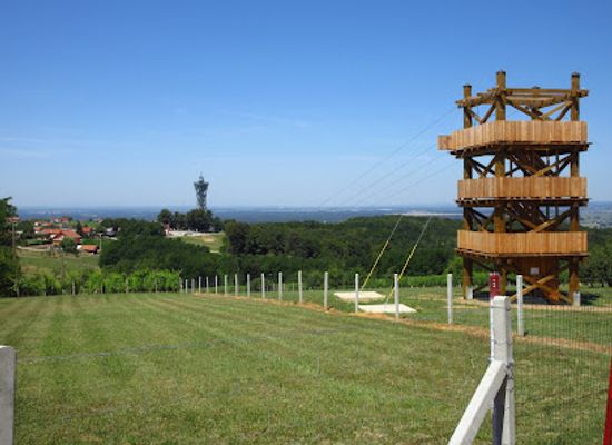 slovenia/prekmurje/attraction/zipline-vinarium-start