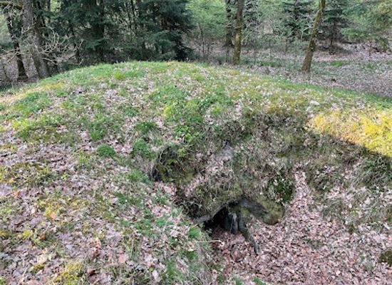 denmark/viborg/attraction/jattestuen-viborg-krat