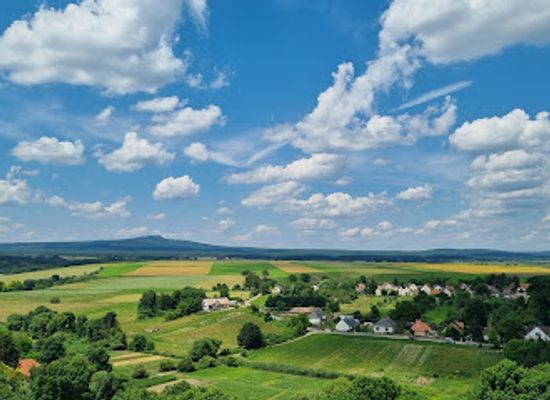 hungary/balaton-uplands/attraction/kinizsi-castle
