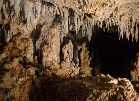 dominican-republic/puerto-plata/attraction/national-park-el-choco-y-las-cuevas-de-cabarete