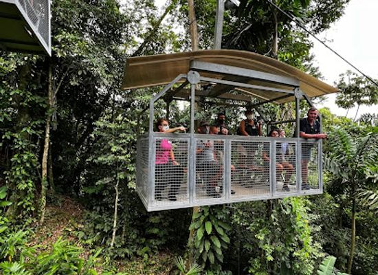 costa-rica/caribbean-coast/attraction/veragua-rainforest