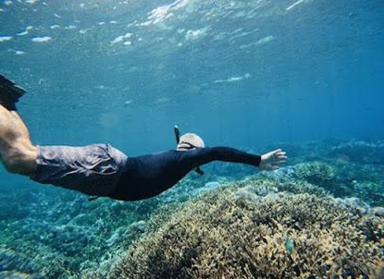 indonesia/bali/attraction/the-wall-snorkeling-place