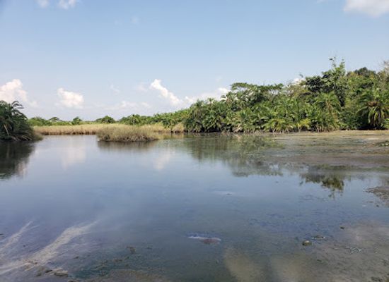 uganda/bukedi/attraction/semuliki-national-park