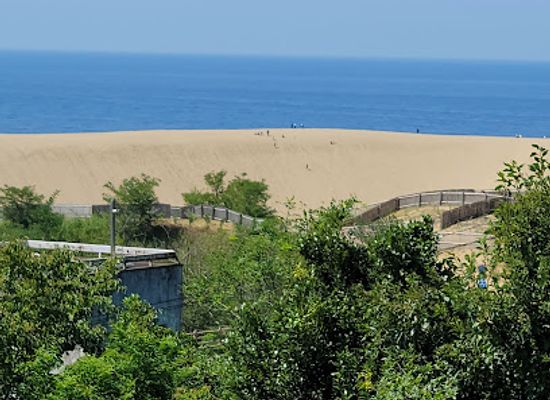 japan/tottori-sand-dunes/attraction/the-sand-museum