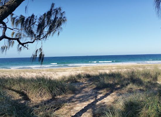 australia/sunshine-coast/attraction/maroochy-river-conservation-park